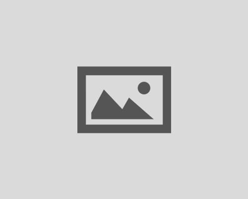 001-9843-01, DTL 7304 Term Shelf